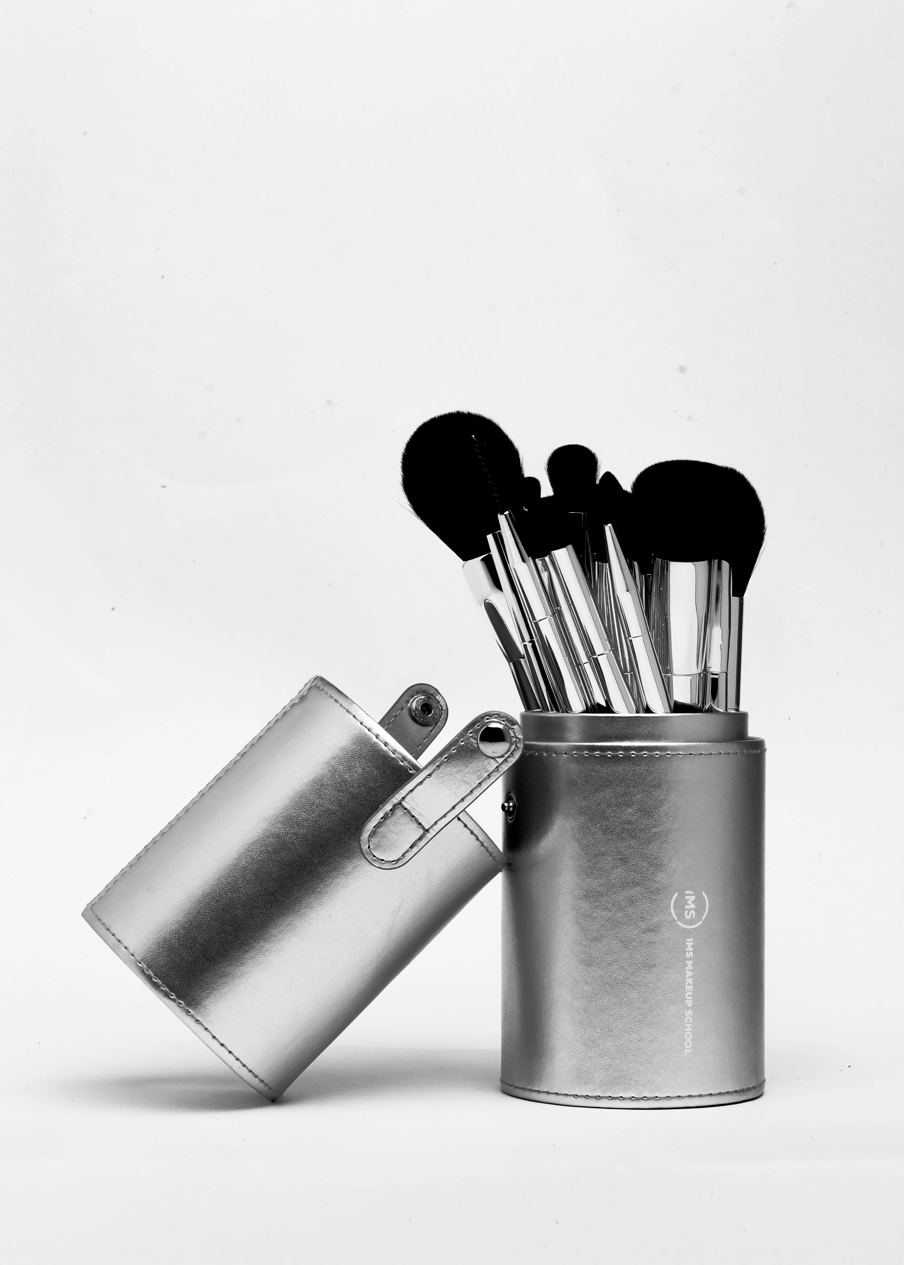 Professional Brush Set