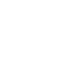 IMS Logo
